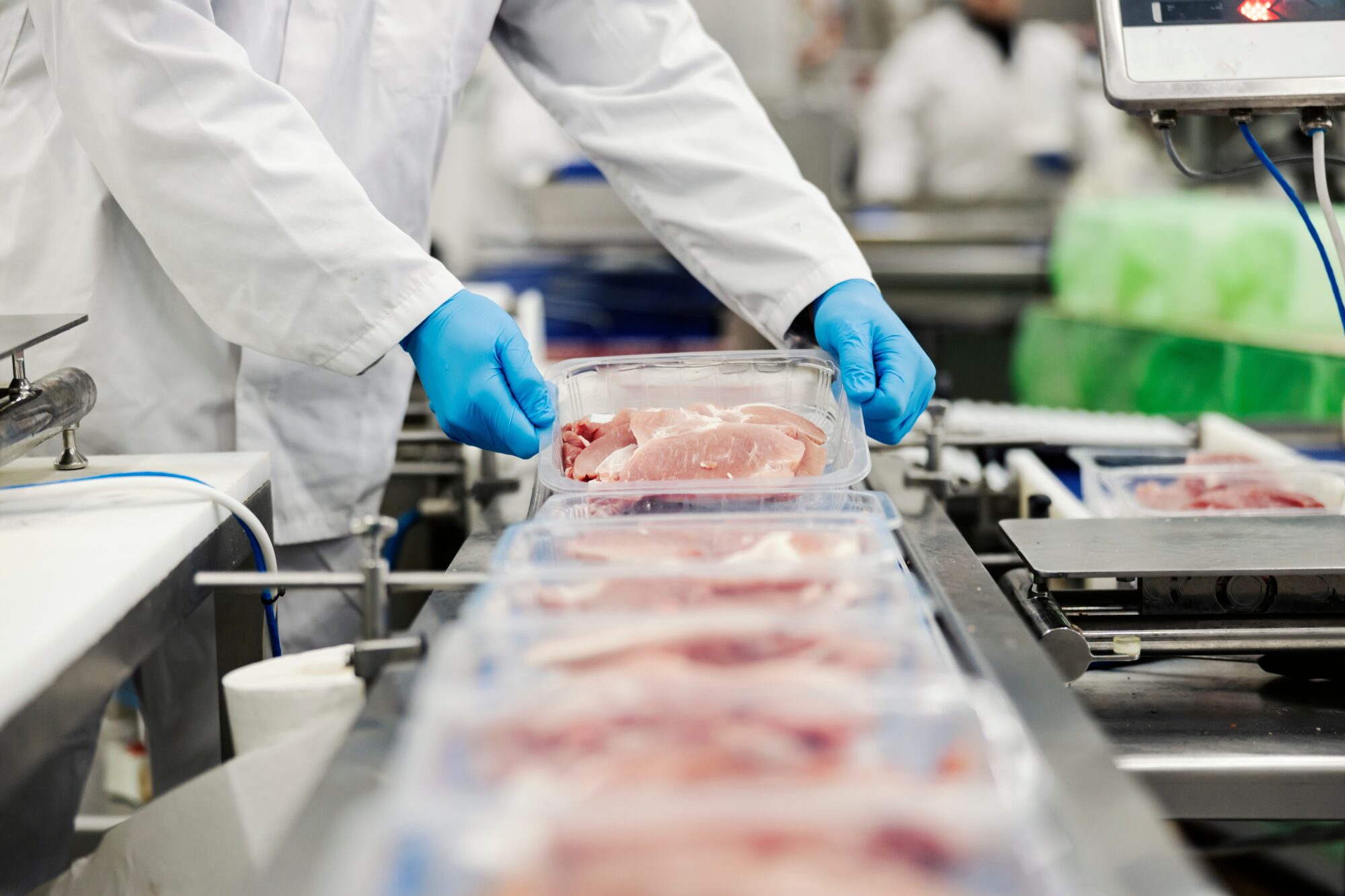 meat processing industry
